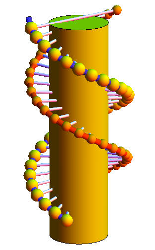 DNA