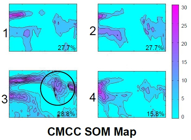 CMCC/CMIP5 SOM