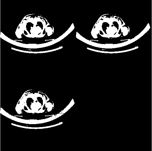 Owl Image