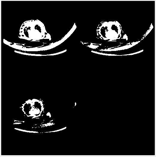 Owl Image