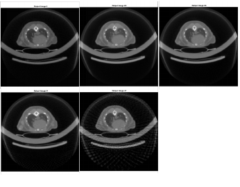 Owl Image