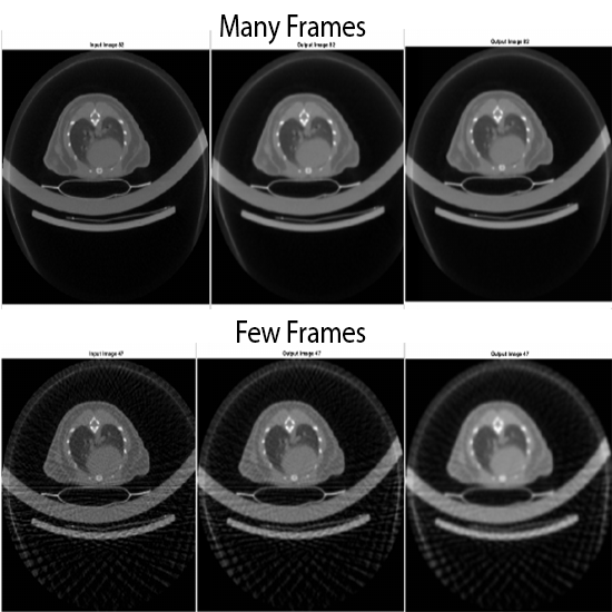 Owl Image