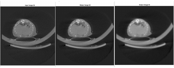Owl Image