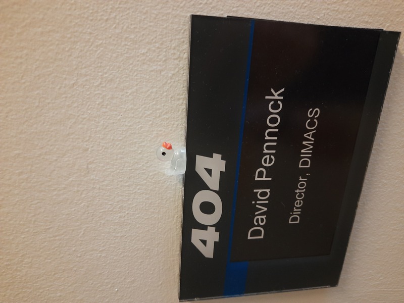 duck